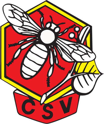200801251405_logo_V-CSV